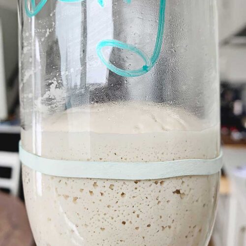 This incredibly easy to follow video series is a daily follow along that will show you how to make a gluten free sourdough starter from scratch! I'll also show you how to make a wheat sourdough starter from scratch! With this starter, you can create all sorts of incredible bakes that are vegan (no eggs, no dairy), allergen-friendly, refined sugar-free, oat-free, gum-free, soy-free, and nut-free! Please follow along with me as I share with you my intuitive approach to building & maintaining a sourdough starter, whether it's gluten free or not! sourdough baking, sourdough starter, gluten free sourdough starter, glutenfreesourdough, gfvegan, gfvbaking, Brown Rice Starter: Day 2, Brown Rice Starter: Day 3, Brown Rice Starter: Day 4, Brown Rice Starter: Day 5, Brown Rice Starter: Day 6, Brown Rice Starter: Day 7, Brown Rice Starter: Day 8, Brown Rice Starter: Day 9, Brown Rice Starter: Day 10, Brown Rice Starter: Day 11, Brown Rice Starter: Day 12, Brown Rice Starter: Day 13, Brown Rice Starter: Day 14