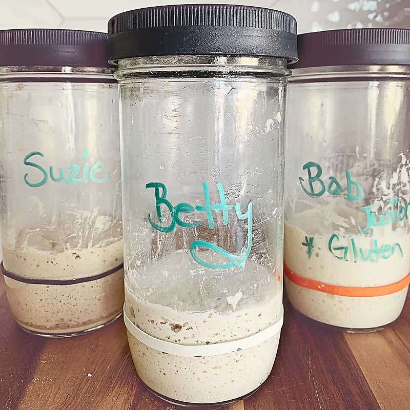 How to make a Sourdough Starter from scratch - Gluten Free or Wheat ...