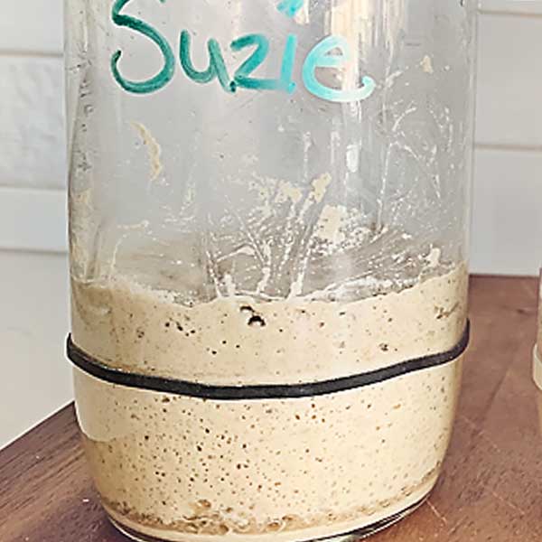 This incredibly easy to follow video series is a daily follow along that will show you how to make a gluten free sourdough starter from scratch! I'll also show you how to make a wheat sourdough starter from scratch! With this starter, you can create all sorts of incredible bakes that are vegan (no eggs, no dairy), allergen-friendly, refined sugar-free, oat-free, gum-free, soy-free, and nut-free! Please follow along with me as I share with you my intuitive approach to building & maintaining a sourdough starter, whether it's gluten free or not! sourdough baking, sourdough starter, gluten free sourdough starter, glutenfreesourdough, gfvegan, gfvbaking, Brown Rice Starter: Day 12