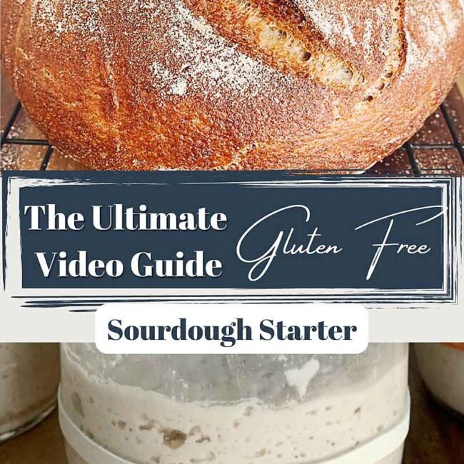 This incredibly easy to follow video series is a daily follow along that will show you how to make a gluten free sourdough starter from scratch! I'll also show you how to make a wheat sourdough starter from scratch! With this starter, you can create all sorts of incredible bakes that are vegan (no eggs, no dairy), allergen-friendly, refined sugar-free, oat-free, gum-free, soy-free, and nut-free! Please follow along with me as I share with you my intuitive approach to building & maintaining a sourdough starter, whether it's gluten free or not! sourdough baking, sourdough starter, gluten free sourdough starter, glutenfreesourdough, gfvegan, gfvbaking