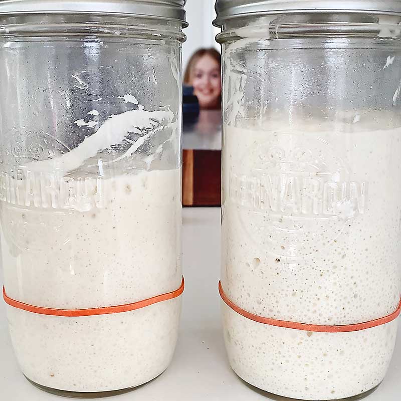 This incredibly easy to follow video series is a daily follow along that will show you how to make a gluten free sourdough starter from scratch! I'll also show you how to make a wheat sourdough starter from scratch! With this starter, you can create all sorts of incredible bakes that are vegan (no eggs, no dairy), allergen-friendly, refined sugar-free, oat-free, gum-free, soy-free, and nut-free! Please follow along with me as I share with you my intuitive approach to building & maintaining a sourdough starter, whether it's gluten free or not! sourdough baking, sourdough starter, sourdough, vegan, sourdough baking
