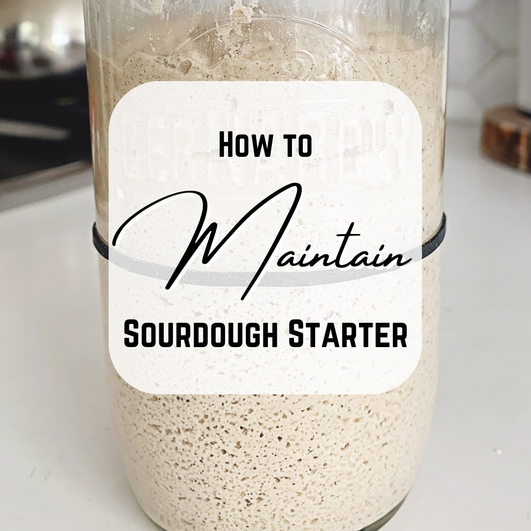 Whether you’ve had your gluten free sourdough starter for years or just created it with me (in my Video Guide), I’ll show you how to care for your gluten free or wheat sourdough starter! 

In my Guide to Maintain a Sourdough Starter you'll discover: how to refresh sourdough starters, how to feed refrigerated sourdough starter, sourdough starter feeding ratios, how much to feed a sourdough starter, when to feed a sourdough starter, how to speed up a sourdough starter and much more!

The wonderful part is that all of these principles apply to both gluten free sourdough starter & wheat sourdough starter.

Full Guide: link in bio or 👇🏻

https://turmericmecrazy.com/how-to-maintain-a-sourdough-starter

#turmeric_me_crazy #sourdoughstartercare #sourdoughstarterhelp #glutenfreesourdoughsuccess #sourdoughstartermaintenance #howtofeedasourdoughstarter #sourdoughstarterratios #glutenfreebread #glutenfree #breadbaking #glutenfreebreads #gfbread #homemadebread #gf #homemadegfbread #breadmaking #glutenfreevegan #vegan #veganbread #howtomakebread #veganglutenfree #yeastbread #brownriceflour #homemadebread #toast #bread #gfsourdoughbread #turmericmecrazysourdough #baking #glutenfreebaking #gfbaking
