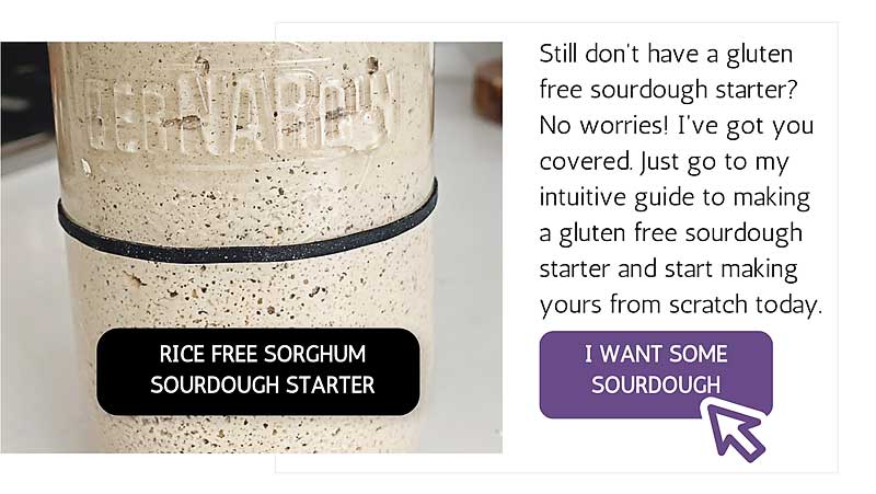 This incredibly easy to follow video series is a daily follow along that will show you how to make a gluten free sourdough starter from scratch! I'll also show you how to make a wheat sourdough starter from scratch! With this starter, you can create all sorts of incredible bakes that are vegan (no eggs, no dairy), allergen-friendly, refined sugar-free, oat-free, gum-free, soy-free, and nut-free! Please follow along with me as I share with you my intuitive approach to building & maintaining a sourdough starter, whether it's gluten free or not! sourdough baking, sourdough starter, gluten free sourdough starter, glutenfreesourdough, gfvegan, gfvbaking