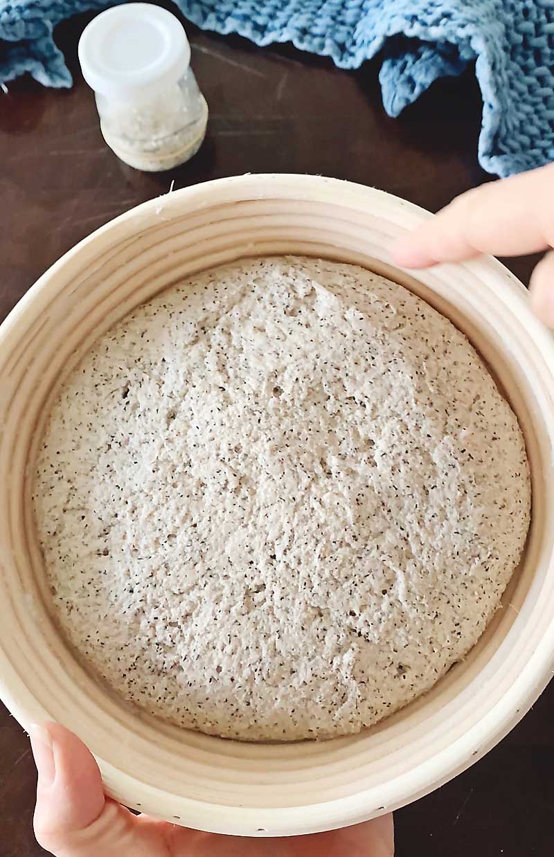 What your sourdough should look like when it is done bulk fermenting. This simple Sorghum Flour Sourdough Bread Recipe is free of most common allergens & is vegan! It is super easy to make and includes a timeline to help guide you along the way! Even make it RICE FREE Sourdough with my easy substitutions. Gluten free sorghum sourdough, gluten free sourdough, sorghum flour recipe, sorghum flour bread, gluten free baking
