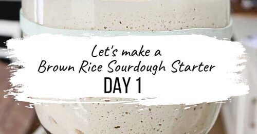 This incredibly easy to follow video series is a daily follow along that will show you how to make a gluten free sourdough starter from scratch! I'll also show you how to make a wheat sourdough starter from scratch! With this starter, you can create all sorts of incredible bakes that are vegan (no eggs, no dairy), allergen-friendly, refined sugar-free, oat-free, gum-free, soy-free, and nut-free! Please follow along with me as I share with you my intuitive approach to building & maintaining a sourdough starter, whether it's gluten free or not! sourdough baking, sourdough starter, gluten free sourdough starter, glutenfreesourdough, gfvegan, gfvbaking, Brown Rice Starter: Day 1