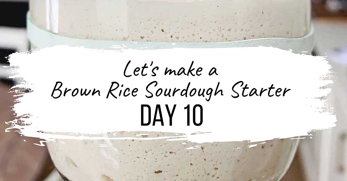 This incredibly easy to follow video series is a daily follow along that will show you how to make a gluten free sourdough starter from scratch! I'll also show you how to make a wheat sourdough starter from scratch! With this starter, you can create all sorts of incredible bakes that are vegan (no eggs, no dairy), allergen-friendly, refined sugar-free, oat-free, gum-free, soy-free, and nut-free! Please follow along with me as I share with you my intuitive approach to building & maintaining a sourdough starter, whether it's gluten free or not! sourdough baking, sourdough starter, gluten free sourdough starter, glutenfreesourdough, gfvegan, gfvbaking, Brown Rice Starter: Day 10