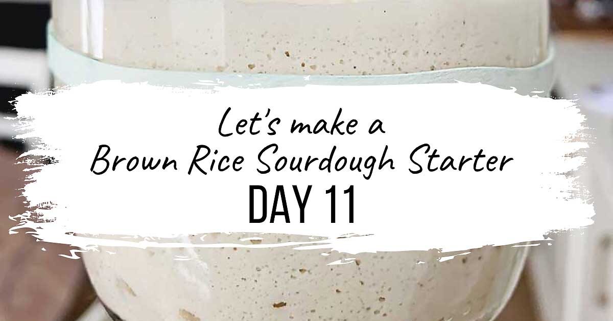 This incredibly easy to follow video series is a daily follow along that will show you how to make a gluten free sourdough starter from scratch! I'll also show you how to make a wheat sourdough starter from scratch! With this starter, you can create all sorts of incredible bakes that are vegan (no eggs, no dairy), allergen-friendly, refined sugar-free, oat-free, gum-free, soy-free, and nut-free! Please follow along with me as I share with you my intuitive approach to building & maintaining a sourdough starter, whether it's gluten free or not! sourdough baking, sourdough starter, gluten free sourdough starter, glutenfreesourdough, gfvegan, gfvbaking, Brown Rice Starter: Day 11