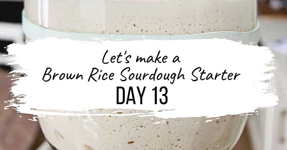 This incredibly easy to follow video series is a daily follow along that will show you how to make a gluten free sourdough starter from scratch! I'll also show you how to make a wheat sourdough starter from scratch! With this starter, you can create all sorts of incredible bakes that are vegan (no eggs, no dairy), allergen-friendly, refined sugar-free, oat-free, gum-free, soy-free, and nut-free! Please follow along with me as I share with you my intuitive approach to building & maintaining a sourdough starter, whether it's gluten free or not! sourdough baking, sourdough starter, gluten free sourdough starter, glutenfreesourdough, gfvegan, gfvbaking, Brown Rice Starter: Day 13