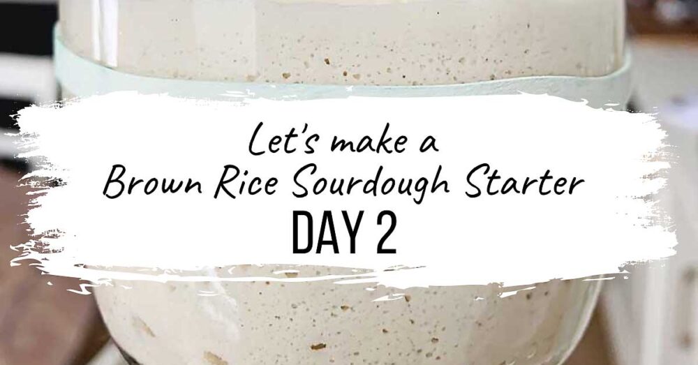 This incredibly easy to follow video series is a daily follow along that will show you how to make a gluten free sourdough starter from scratch! I'll also show you how to make a wheat sourdough starter from scratch! With this starter, you can create all sorts of incredible bakes that are vegan (no eggs, no dairy), allergen-friendly, refined sugar-free, oat-free, gum-free, soy-free, and nut-free! Please follow along with me as I share with you my intuitive approach to building & maintaining a sourdough starter, whether it's gluten free or not! sourdough baking, sourdough starter, gluten free sourdough starter, glutenfreesourdough, gfvegan, gfvbaking, Brown Rice Starter: Day 2