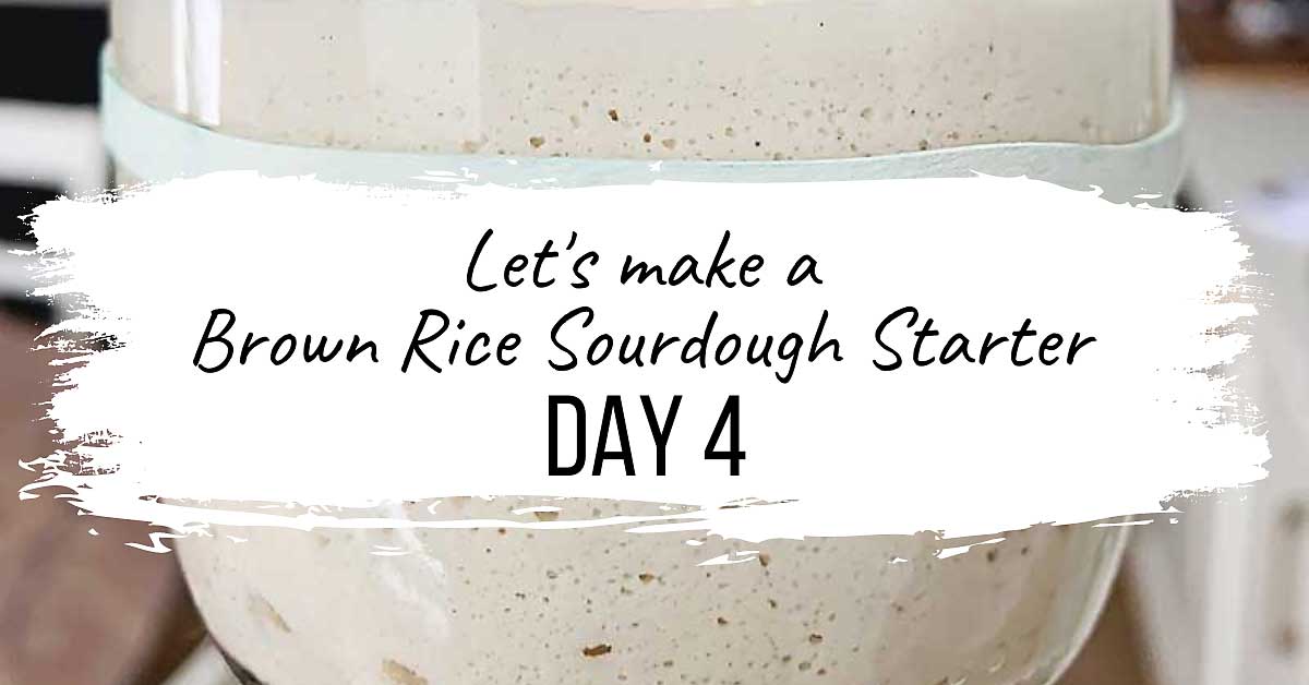 This incredibly easy to follow video series is a daily follow along that will show you how to make a gluten free sourdough starter from scratch! I'll also show you how to make a wheat sourdough starter from scratch! With this starter, you can create all sorts of incredible bakes that are vegan (no eggs, no dairy), allergen-friendly, refined sugar-free, oat-free, gum-free, soy-free, and nut-free! Please follow along with me as I share with you my intuitive approach to building & maintaining a sourdough starter, whether it's gluten free or not! sourdough baking, sourdough starter, gluten free sourdough starter, glutenfreesourdough, gfvegan, gfvbaking, Brown Rice Starter: Day 4