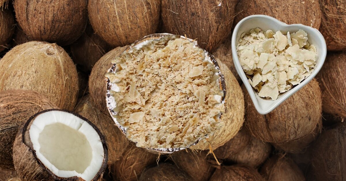 Easily make your own incredibly delicious coconut milk powder, a lovely plant based dried milk, from just organic shredded coconut! Let us show you how! It's 100% natural dried coconut milk with no additives, preservatives, emulsifiers or gums! Give it a try and I promise, you'll never buy store bought again!