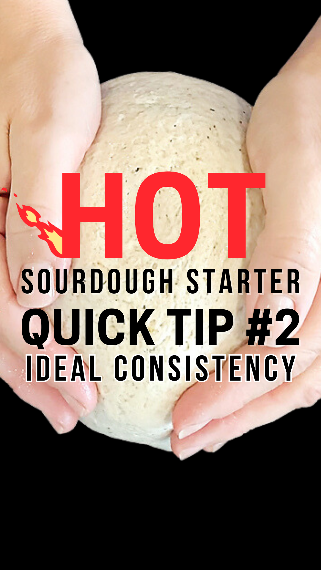 I'm sharing the answers to my top FAQ when making sourdough! From what equipment to use, how to choose a ratio for feeding, to keeping your starter vital, active and healthy, to deciding how often & how much to feed your starter, and even how to maintain your starter for years to come! gluten free sourdough starter, maintain a sourdough starter, how to feed a sourdough starter