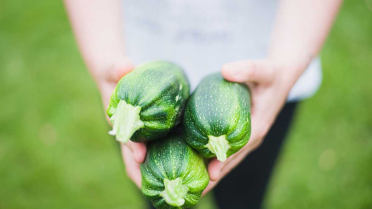 How to Make Zucchini Noodles - Joybilee® Farm, DIY, Herbs, Gardening