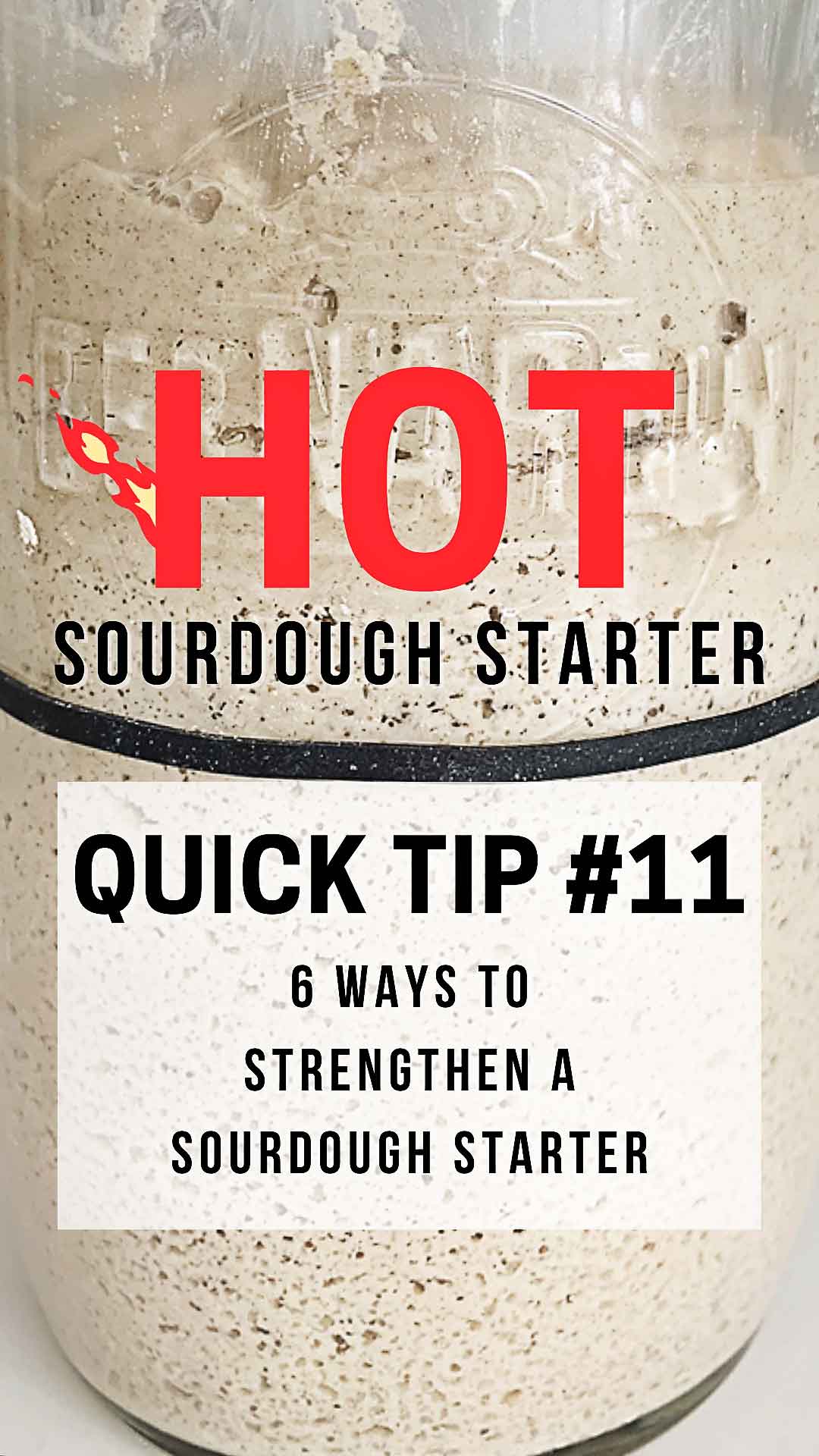 Going on vacation? Have a new sourdough starter? Need a break from your starter? In this quick tip learn 6 ways to strengthen your sourdough starter that will work for all of these situations! Give your sourdough starter a boost!