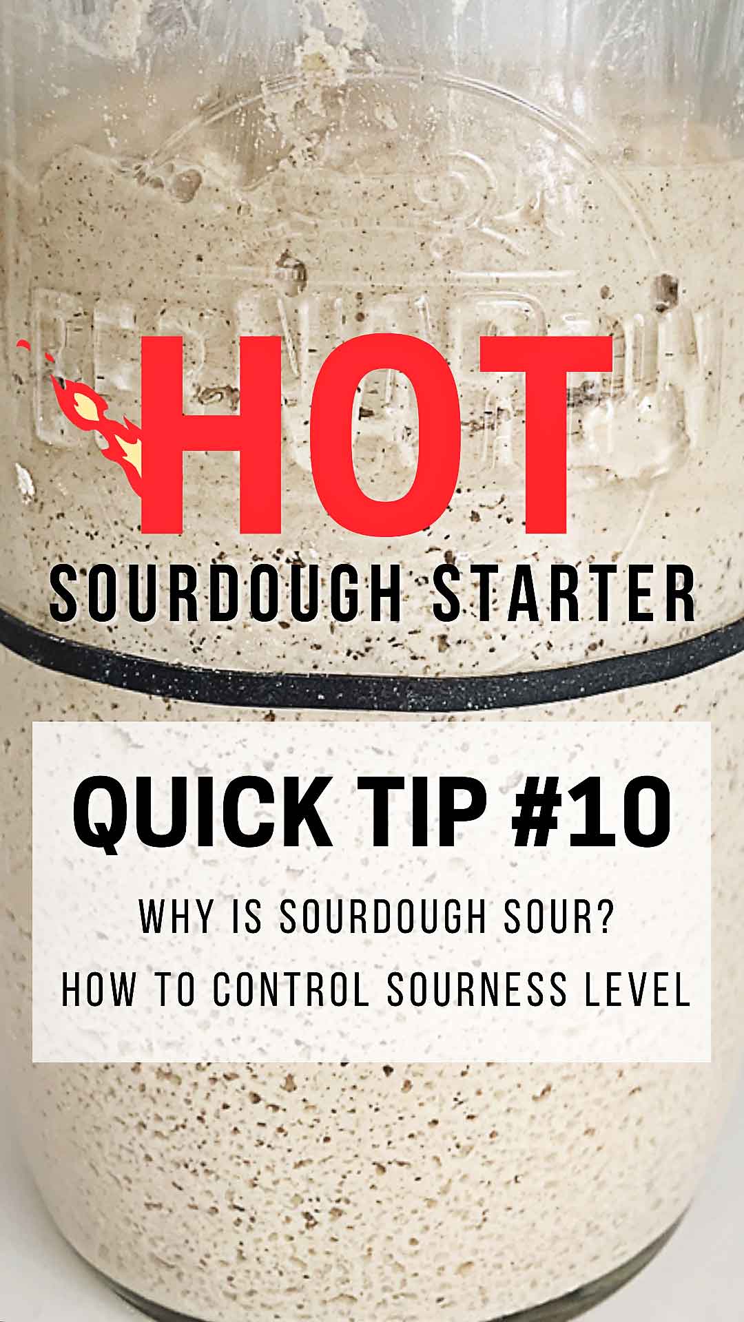 Learn why sourdough is sour and how to control the level of sourness in your sourdough with these quick tips! sourdough starter, sourdough tips and tricks
