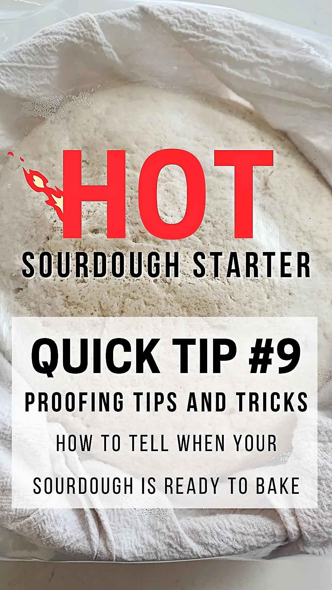 Learn how to tell when your sourdough is ready to bake with these easy proofing tips and tricks! Understanding signs of peak activity is key to baking incredible sourdough! sourdough starter, sourdough tips and tricks