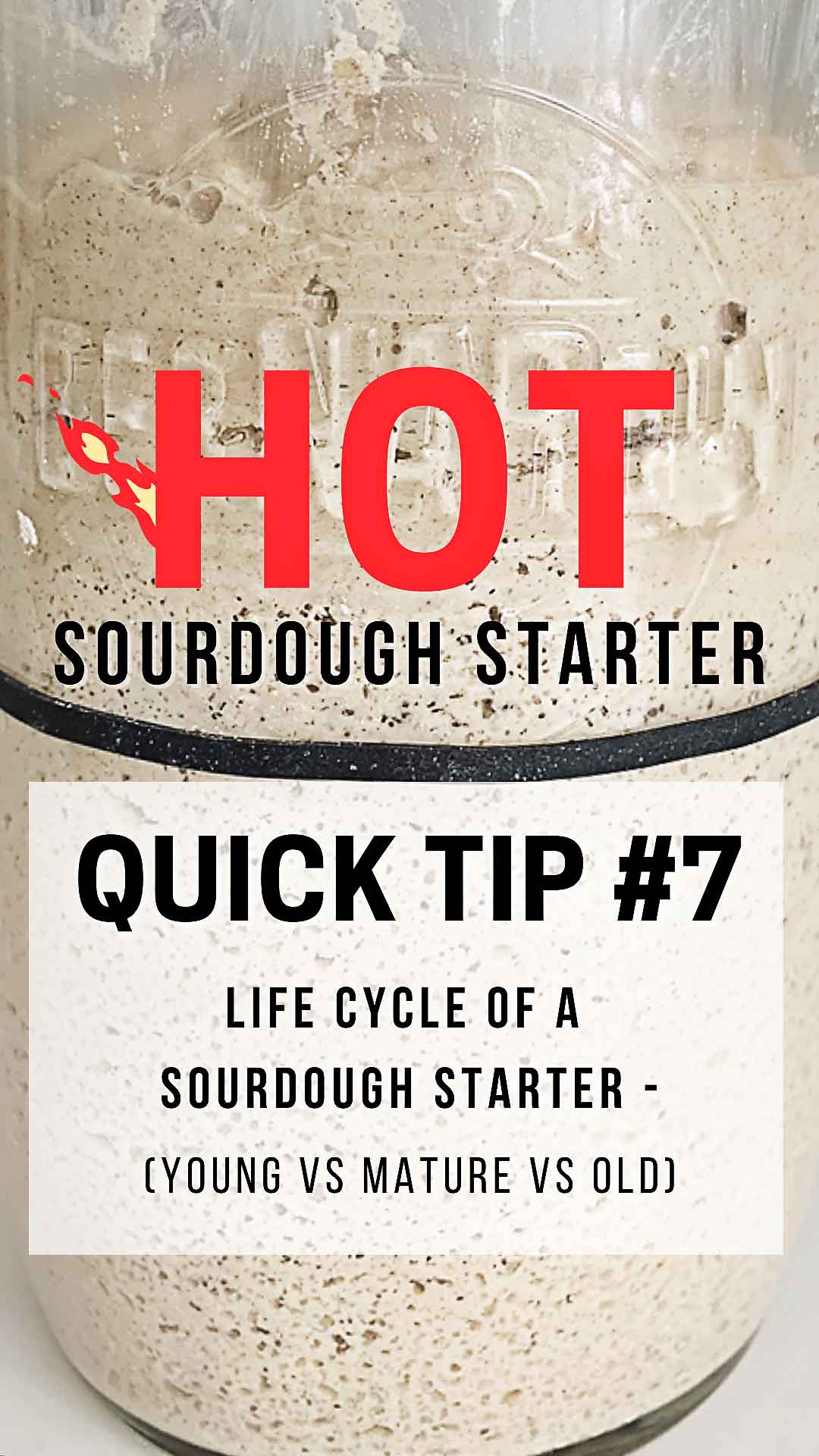 Improve your sourdough baking by learning about the life cycle of a sourdough starter and why it's important for you to know! sourdough baking, what is peak activity, what is a mature starter?