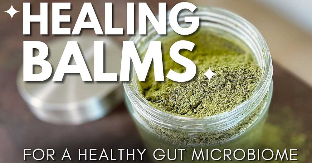 Eat This One Thing for a Healthy Gut Microbiome! 🌱 Transform your gut health with our Green Goodness Gut Health Powder - kickstart your gut microbiome and improve your overall well-being!✨ Whether you're looking to improve digestion, enhance immunity, or simply feel your best, this one food might be the game-changer you need! #guthealth #gutmicrobiome #healthygut #healingfood #healthyeating #gutmicrobiomehealth