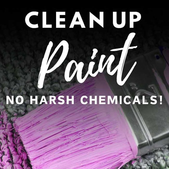 Accidents happen, and spilling paint on your carpet can feel like a disaster. But don’t panic—whether it's fresh or dried, here's an quick and easy way to remove paint and restore your carpet. #diyprojects #cleaningtips #paintingforbeginners #painting #cleaning #howtocleanhouse
