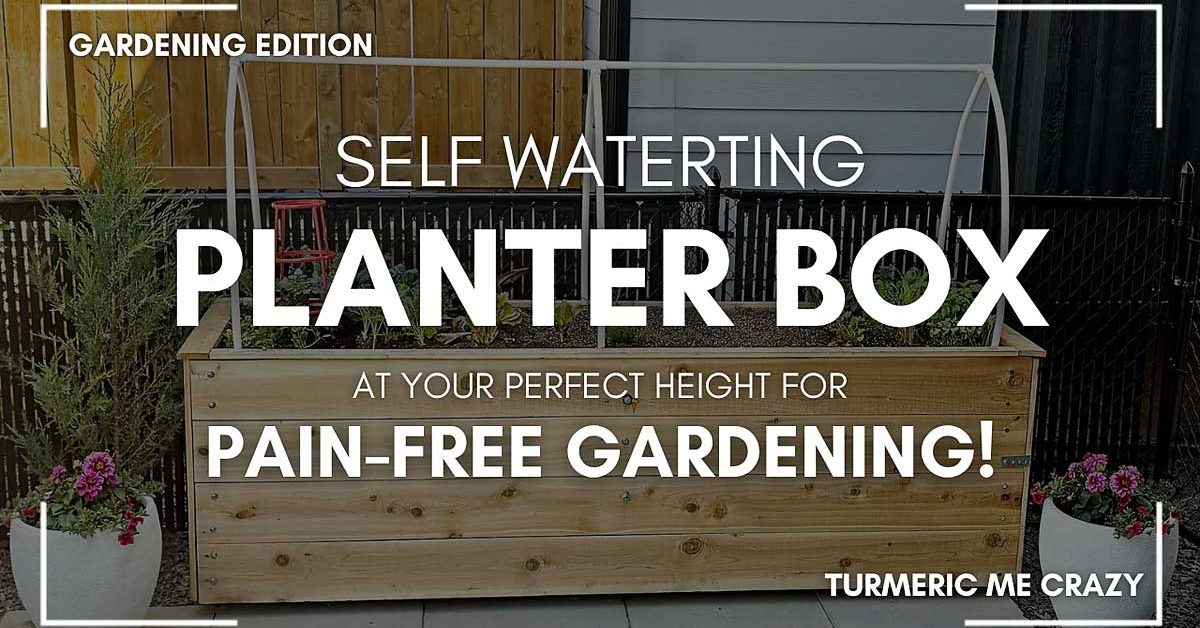 Looking to grow healthy veggies, herbs, or flowers without constant watering or bending over? This DIY self-watering raised planter is the perfect solution! #DIYGarden #SelfWateringPlanter #RaisedBedGarden #GardeningTips #BackyardDIY #raisedbedgardening